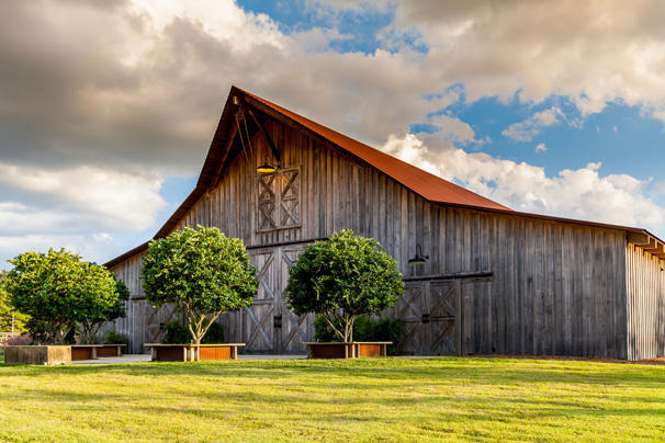 Florida Horse Barn — photo 52 of 72