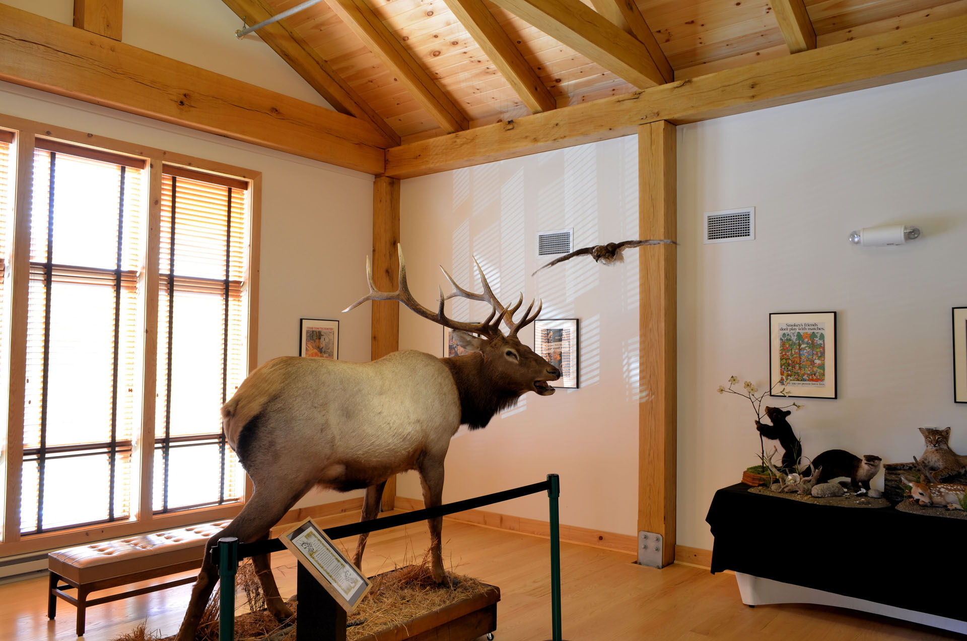 PA Lumber Museum (Commercial) — photo 41 of 58
