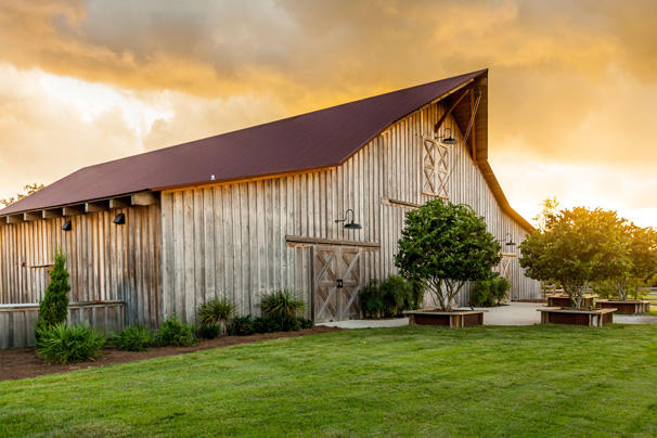 Florida Horse Barn — photo 13 of 72