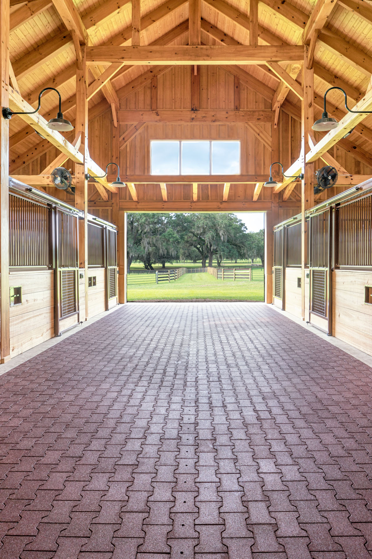 Ocala Thoroughbred Barn — photo 16 of 64