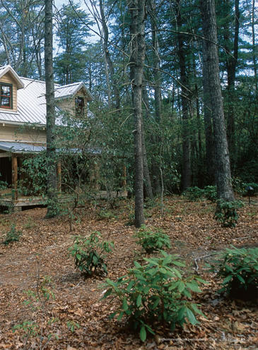 Timber lodge and sleeping cabin in the Maryland highlands