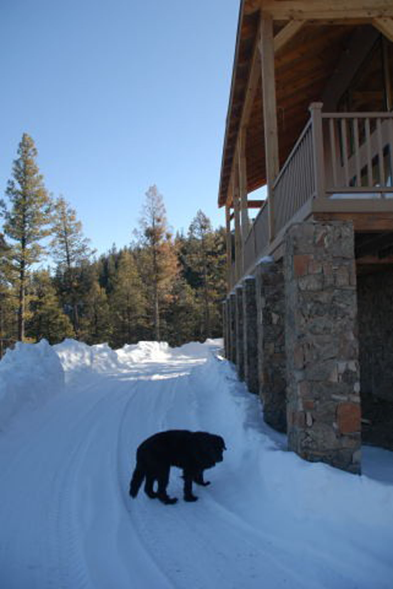 Jim Lee Timber Frame — photo 15 of 30