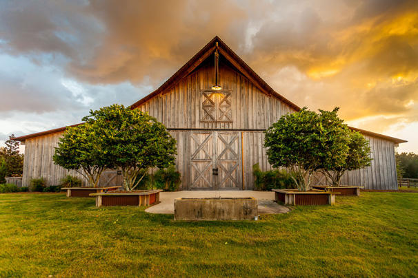 Florida Horse Barn — photo 12 of 72
