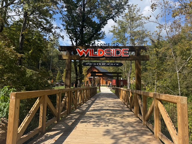 WildSide — photo 19 of 19