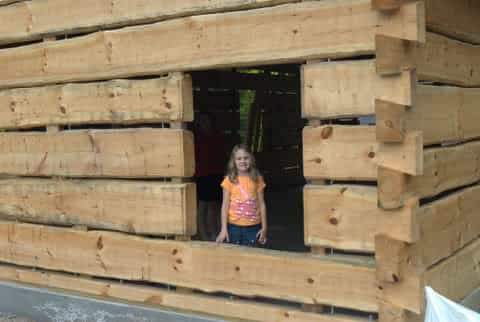 Log Home Lily Pad Project — photo 15 of 20