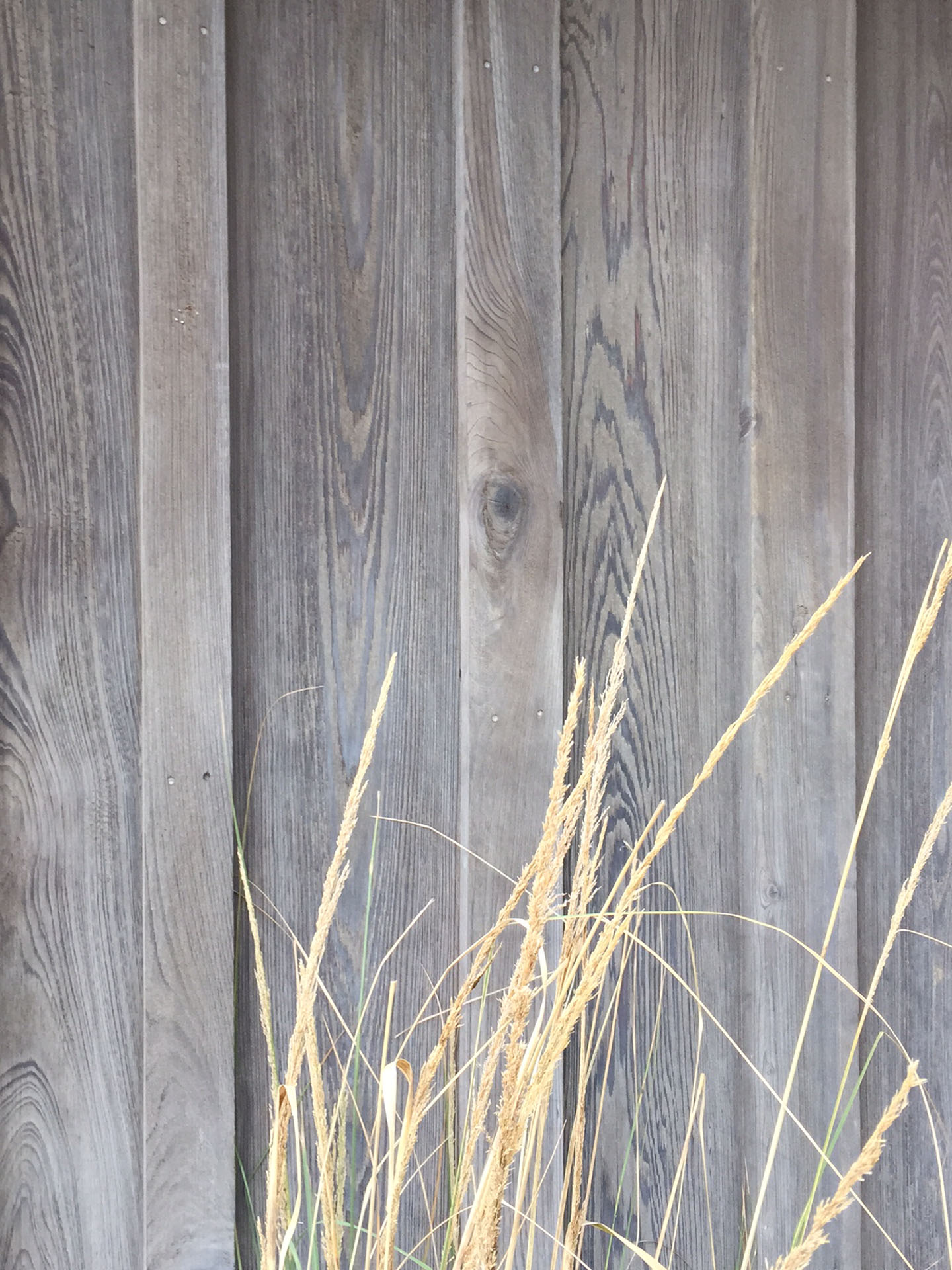 Original Distressed Textures — photo 25 of 67