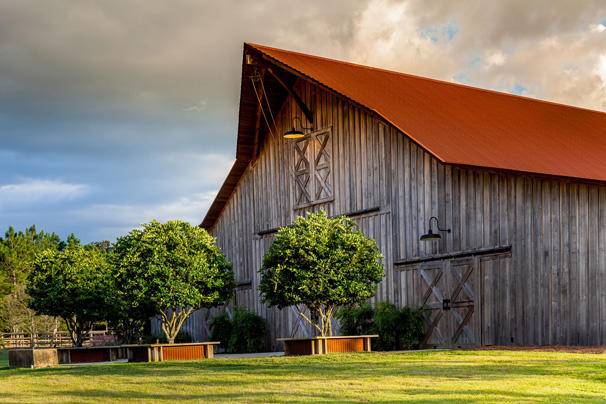 Florida Horse Barn — photo 62 of 72