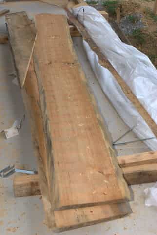 Log Home Lily Pad Project — photo 10 of 20