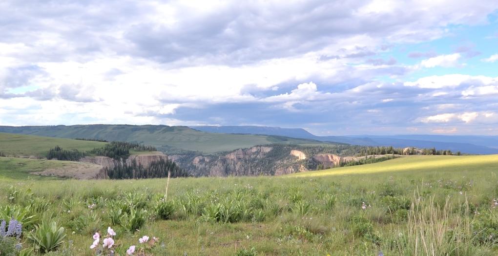 Colorado Springs, Co Log Home — photo 19 of 30