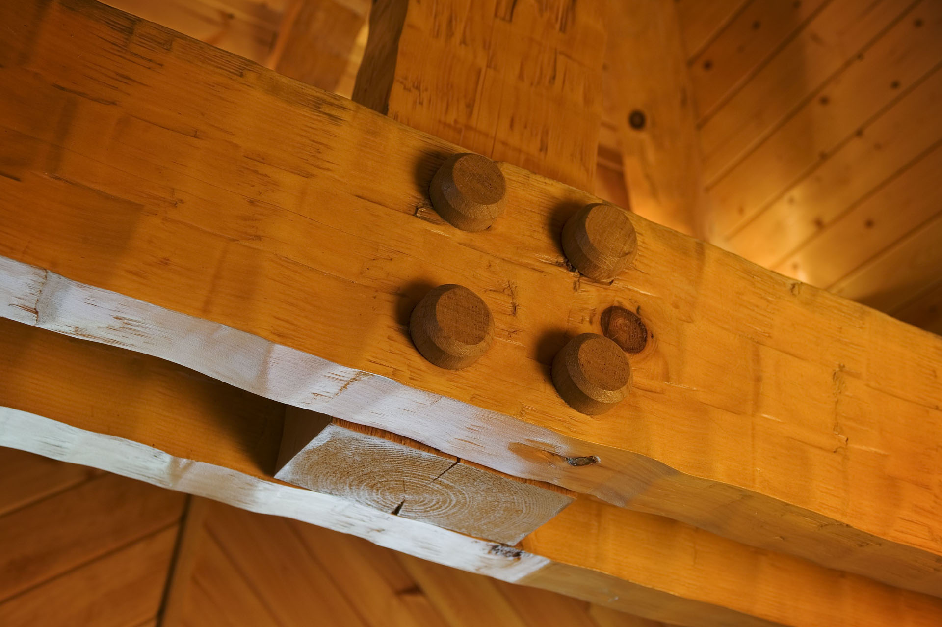 Wendland Timberwright – Tennessee — photo 15 of 21