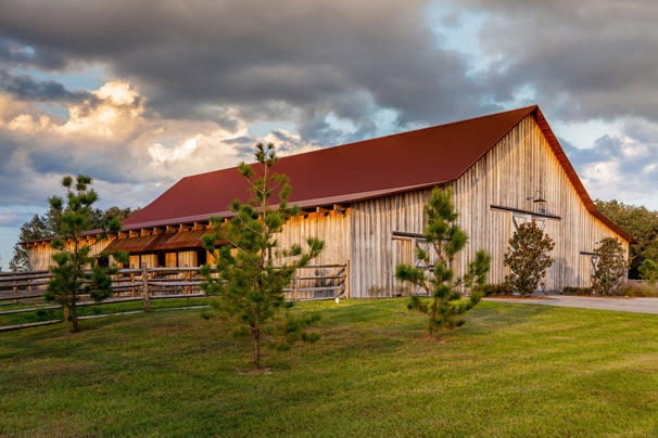 Florida Horse Barn — photo 57 of 72