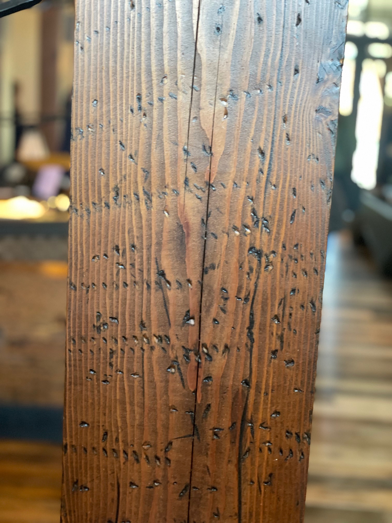 Southall Farm & Inn — photo 12 of 36