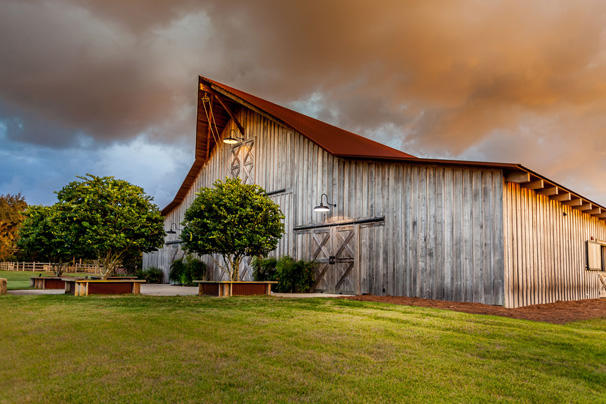 Florida Horse Barn — photo 9 of 72