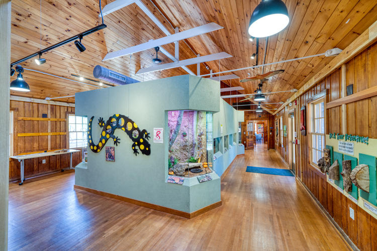 Shaver’s Creek Environmental Center — photo 12 of 24