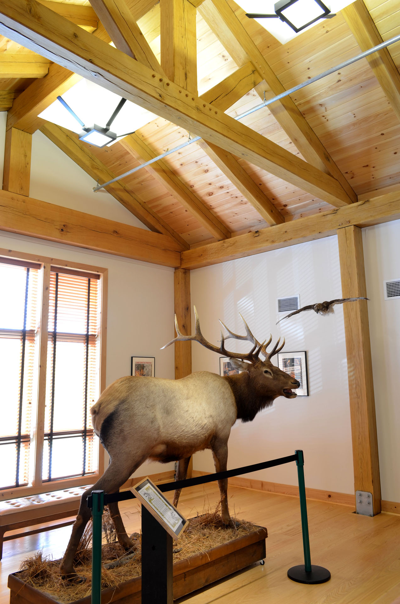 PA Lumber Museum (Commercial) — photo 37 of 58