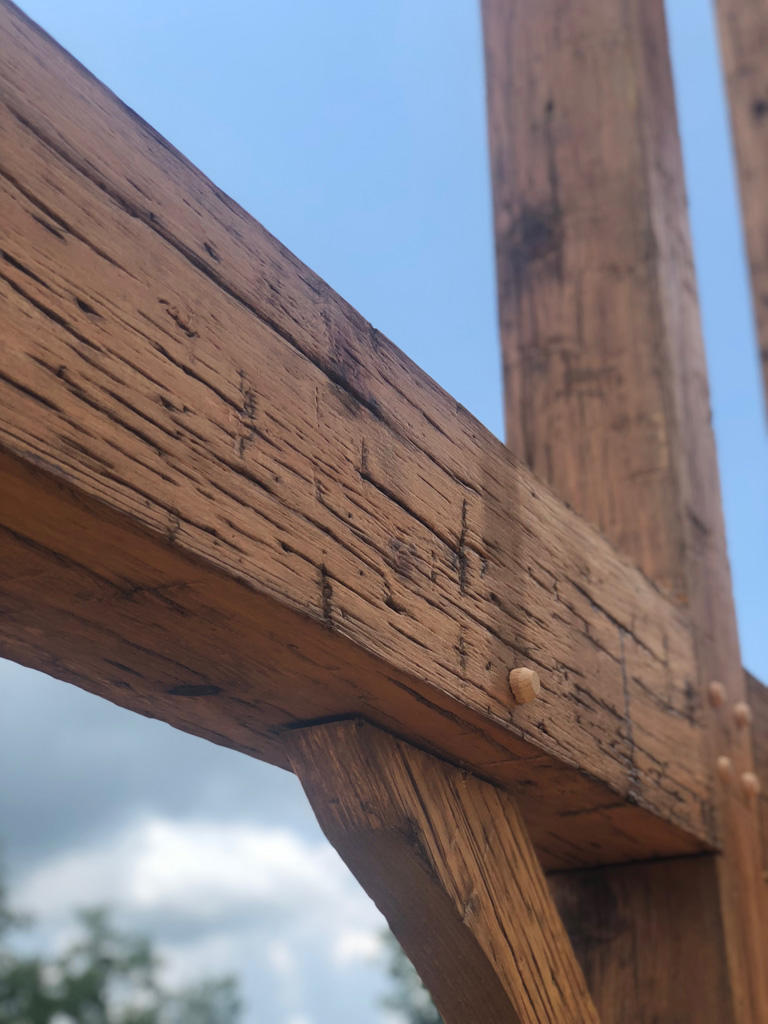 Mystic Timbers — photo 22 of 30