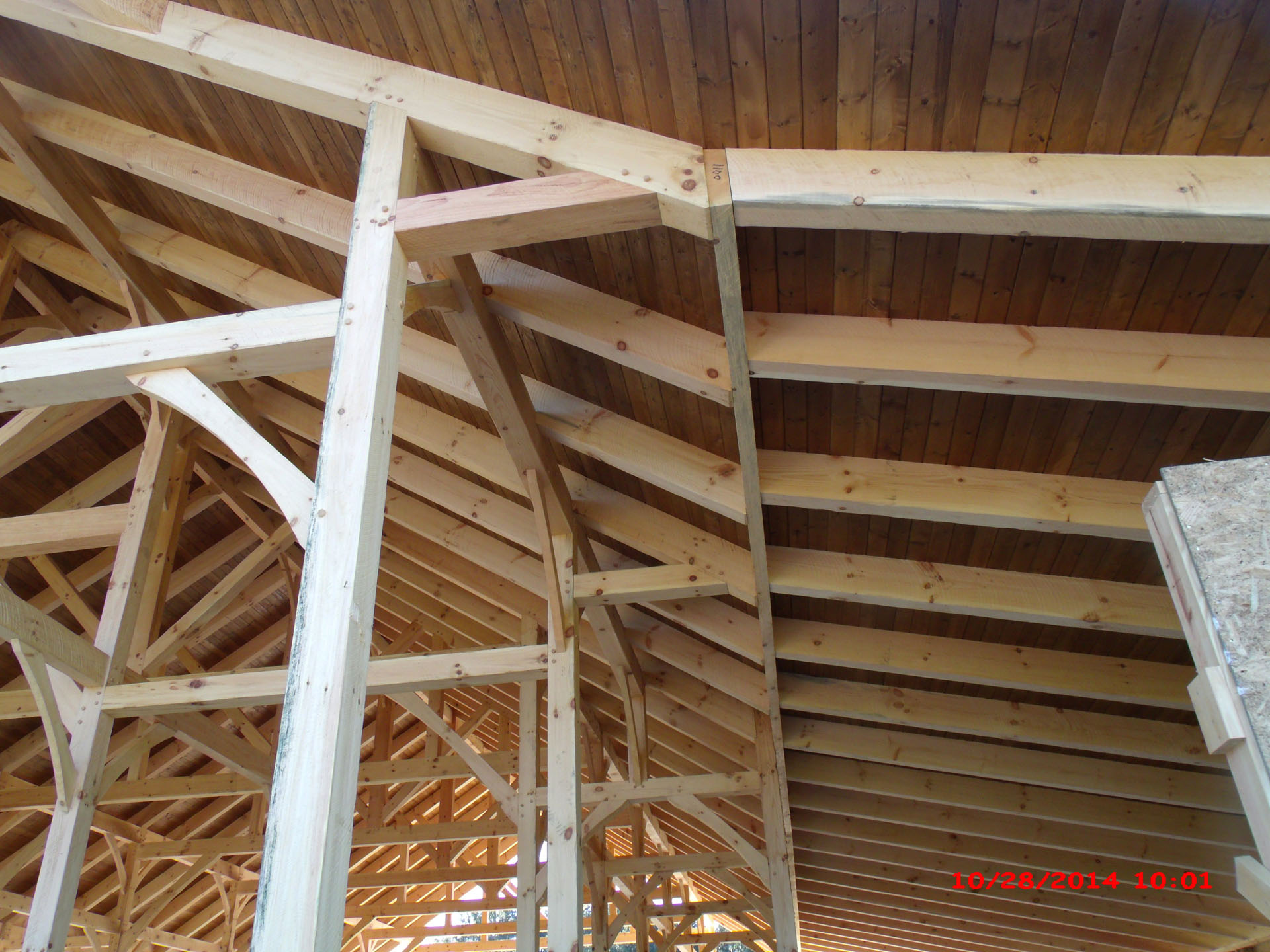 Ocala Barn, Florida, Construction Shots — photo 15 of 37