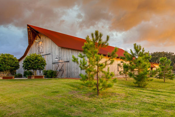 Florida Horse Barn — photo 24 of 72