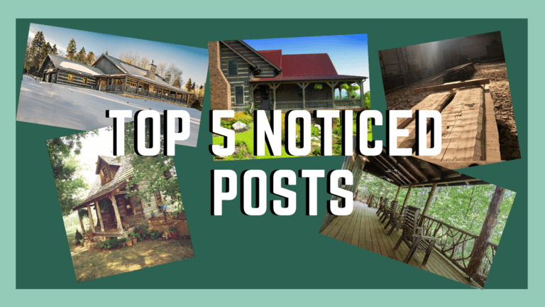 Top 5 Noticed Posts of 2020 white and green female people blogs youtube video outro Hearthstone Homes